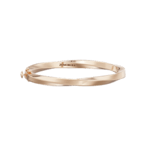 Twisty (lock bangle)