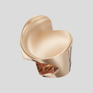 Janan design gold ring